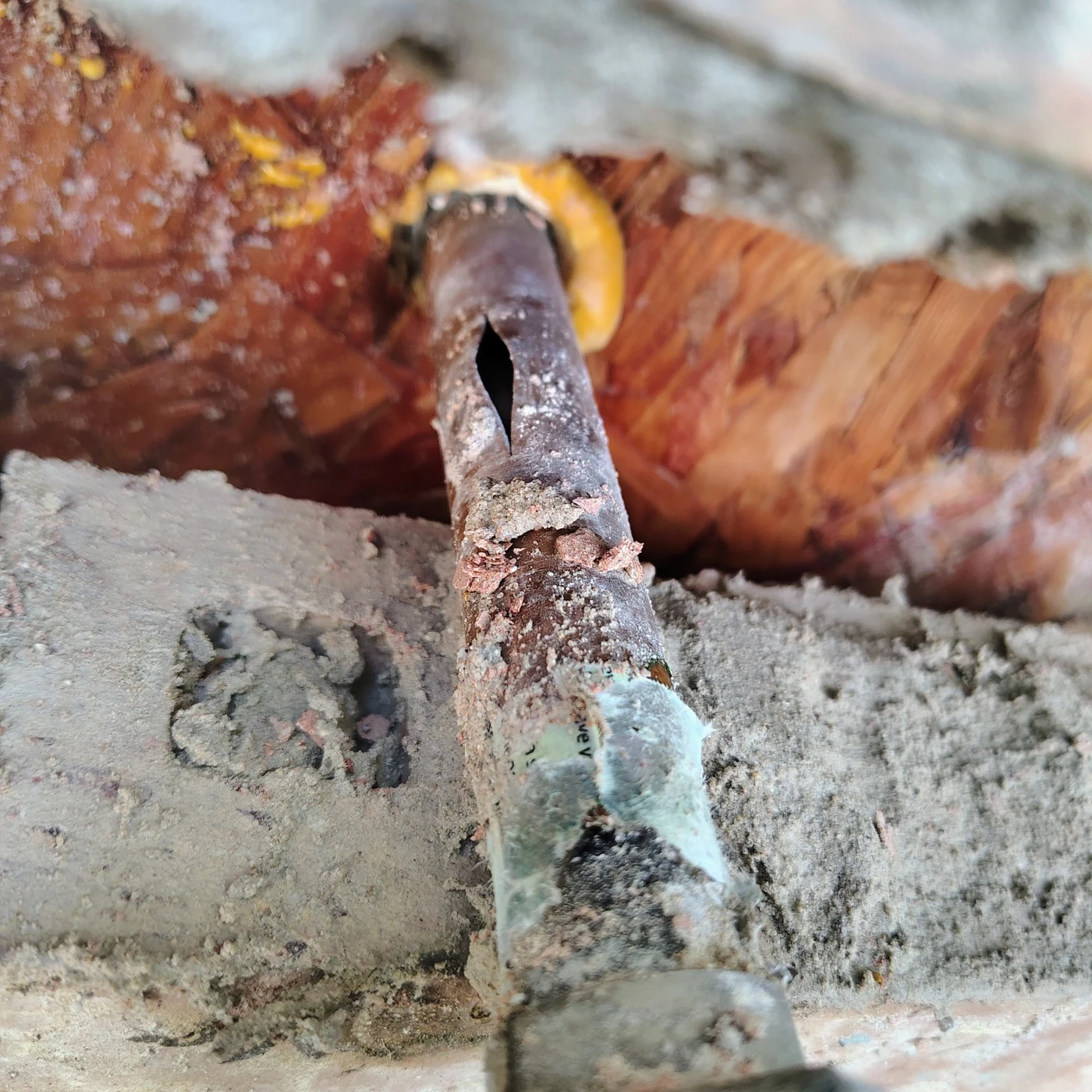 Close view of the split pipe before repair in Waxahachie